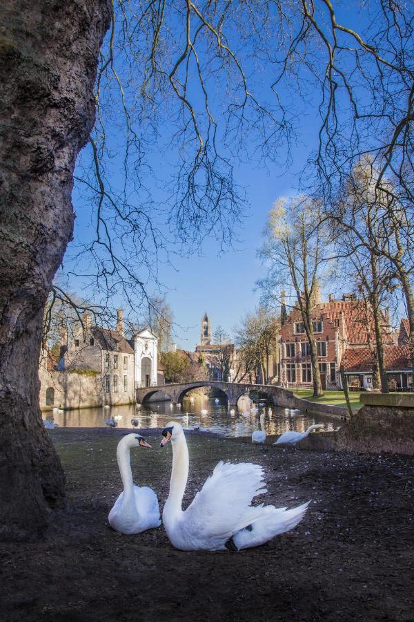 Gastenkamers Ten Huyze Marchandise Bruges Extérieur photo